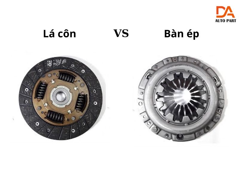 lá côn 7 Phân biệt lá côn với bàn ép