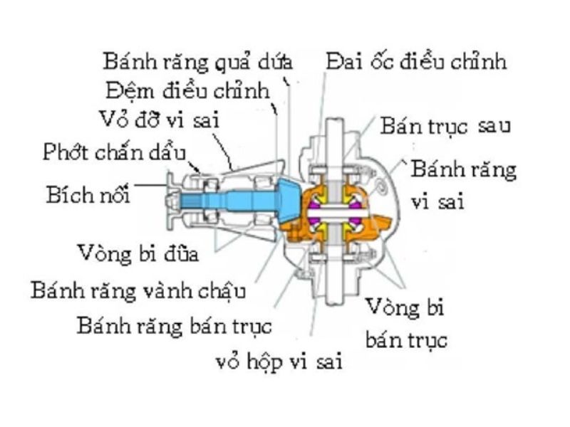 bộ vi sai 1 Cấu tạo bộ vi sai ô tô