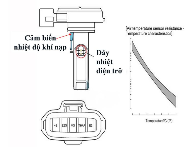 cảm biến nhiệt độ khí nạp 2 Cấu tạo của cảm biến nhiệt độ khí nạp