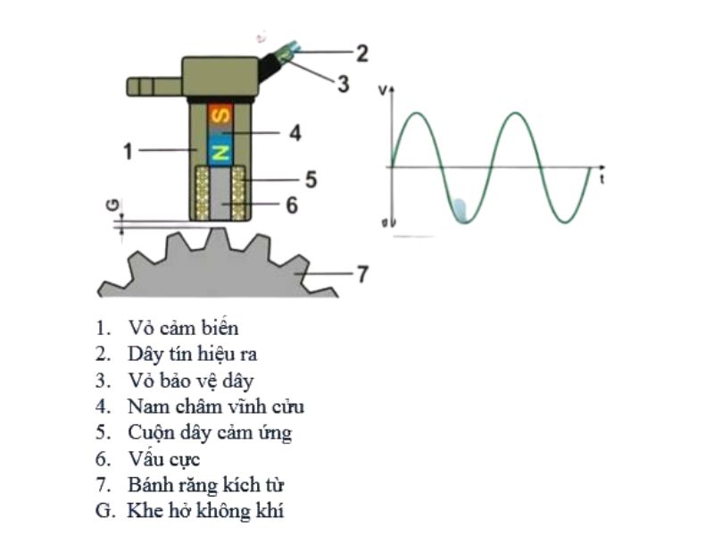 cảm biến trục khuỷu 2 Cấu tạo của cảm biến trục khuỷu ô tô