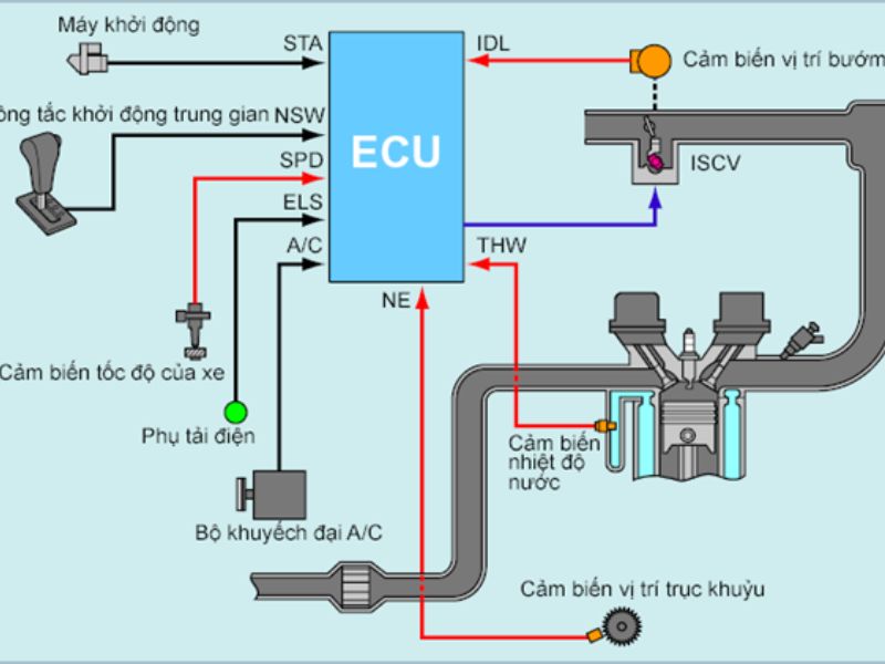 Cảm biến vị trí bướm ga 5 Cảm biến bướm ga gửi tín hiệu đến ECU để điều khiển động cơ.
