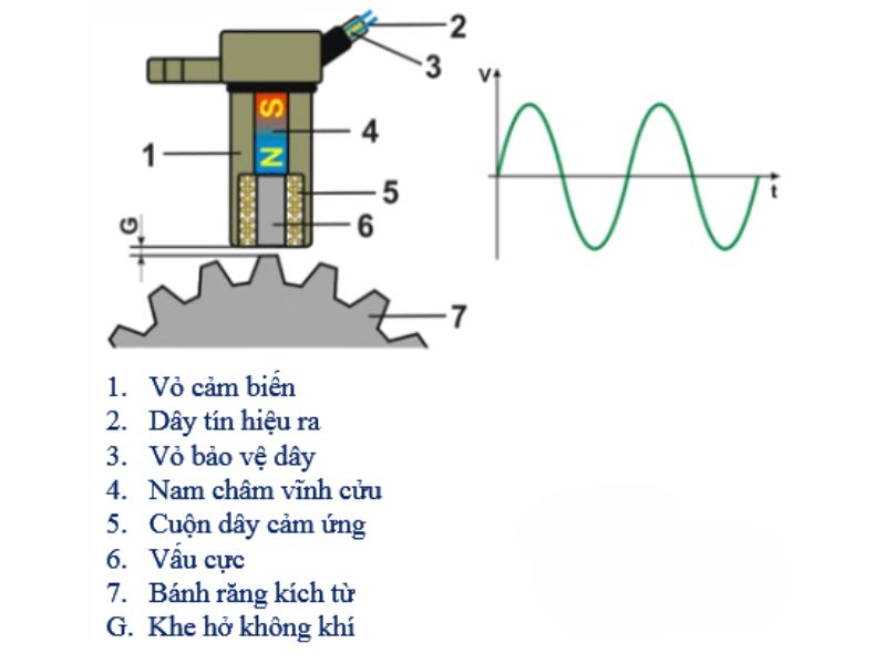 Cấu tạo chi tiết của cảm biến vị trí trục cam