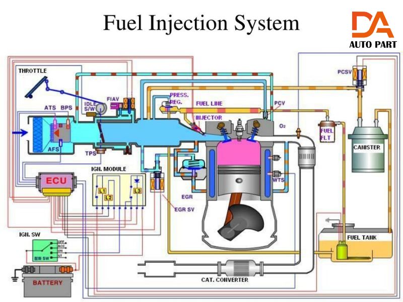 phun xăng điện tử 4 Phun xăng điện tử hoạt động nhờ sự phối hợp giữa các bộ phận với nhau