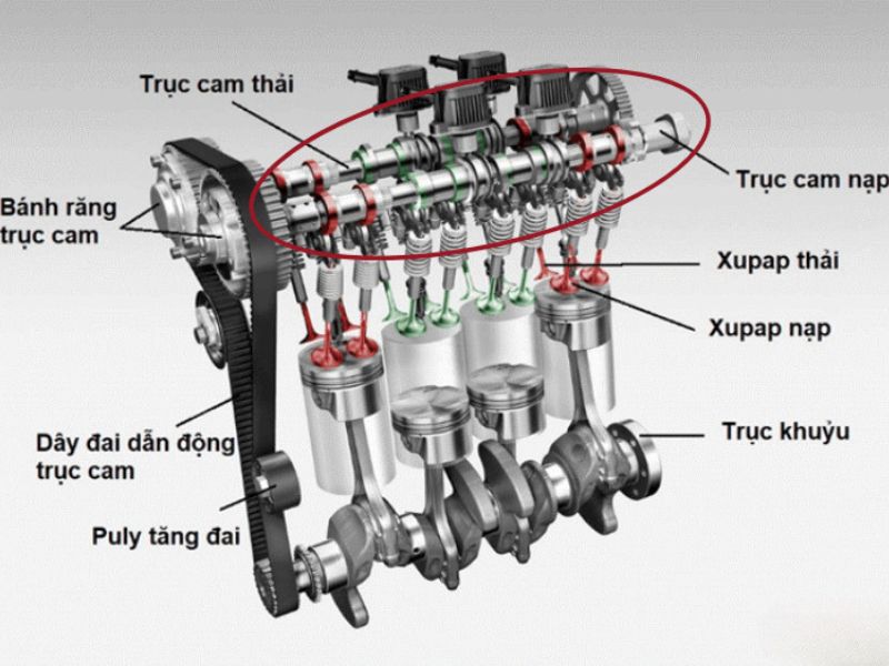 trục cam 3 Vị trí của trục cam