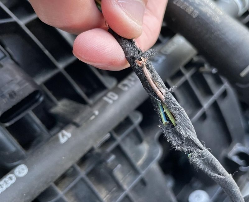 Đứt dây tín hiệu, dẫn đến mất hoàn toàn kết nối giữa cảm biến và ECU