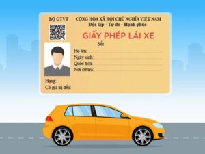 Cách học bằng lái xe