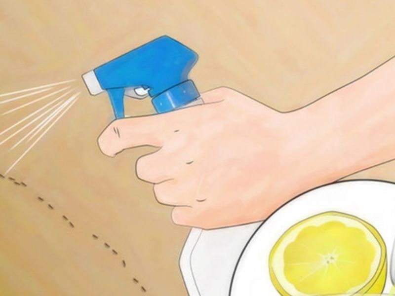 Nước cốt chanh pha nước, xịt hoặc lau
