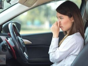 Cách khử mùi nôn trên xe ô tô