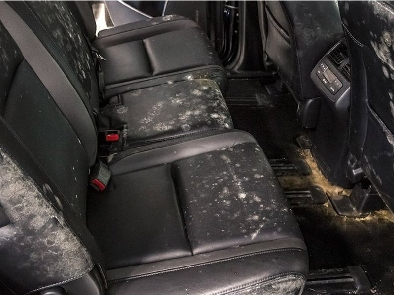 Xe từng ngập nước thường để lại mùi ẩm mốc trong khoang cabin