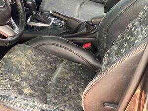 Cách khử mùi ẩm mốc trong xe ô tô