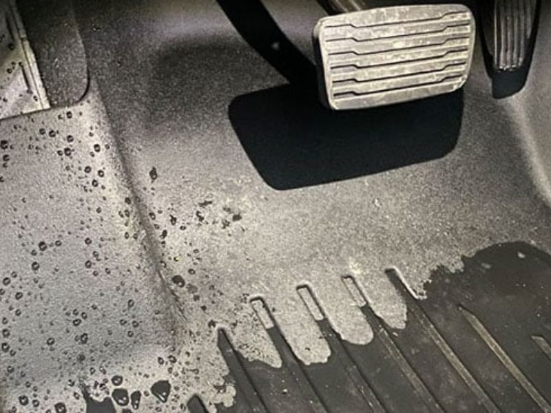 Nếu có dấu hiệu ẩm mốc, tháo thảm và sấy khô toàn bộ khoang sàn