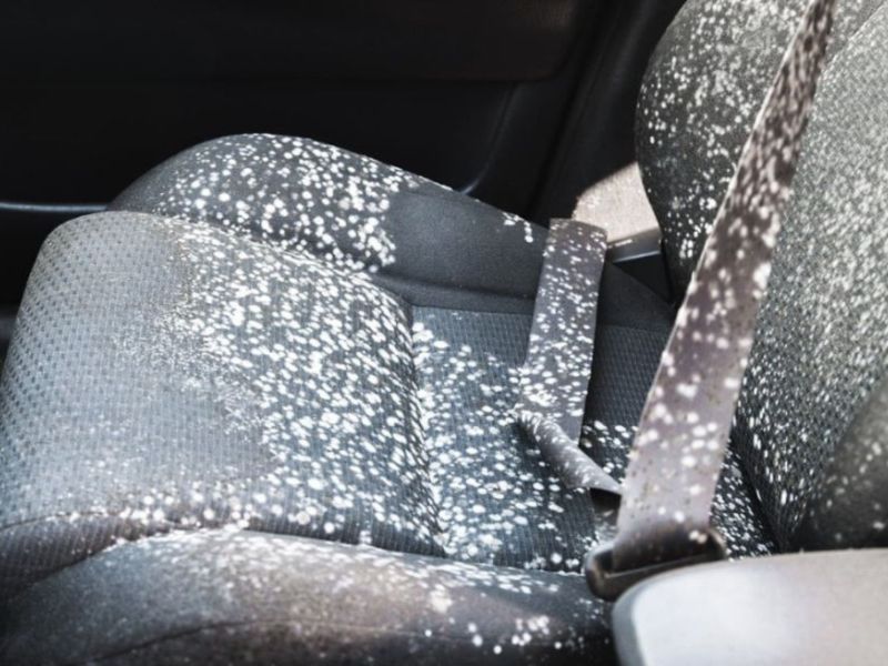 Vệ sinh hoặc thông lỗ thoát nước cửa, capo, cốp xe ô tô