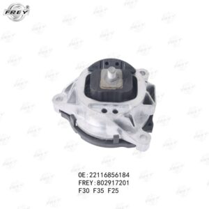 Chân máy 22116856184 Corteco BMW X3 F25