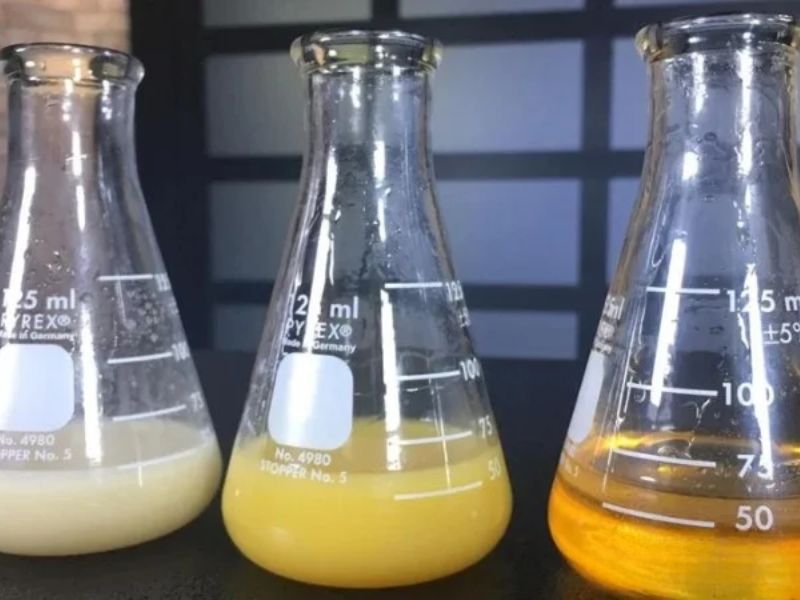 Dầu đổi sang màu trắng đục hoặc màu sữa