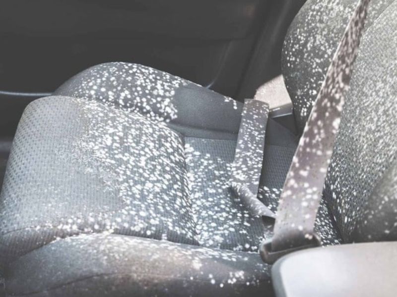 Khoang lái ẩm,có mùi mốc