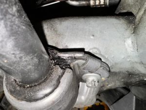 càng cong rách cao su