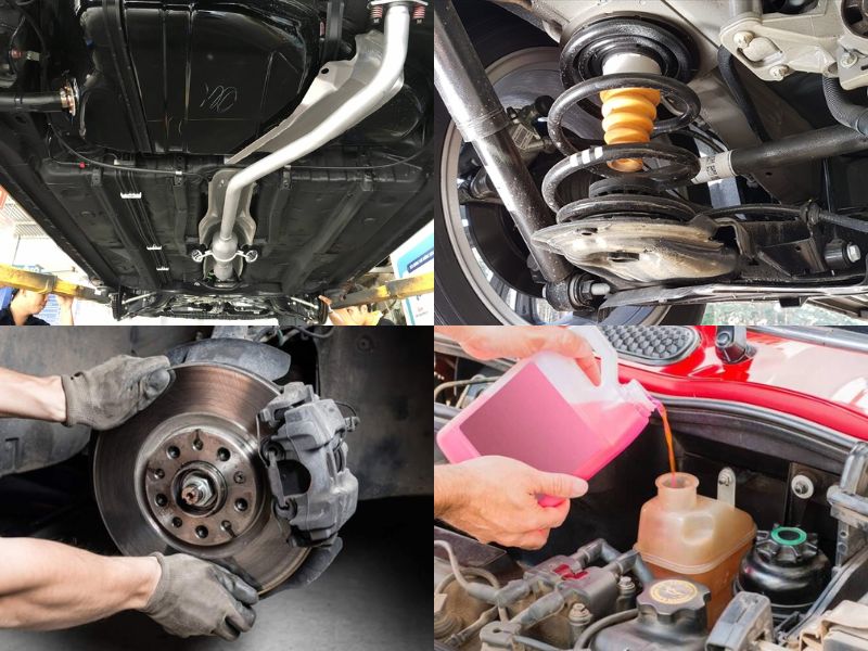 Nhóm hạng mục kiểm tra toàn diện