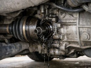 chảy dầu số phớt láp