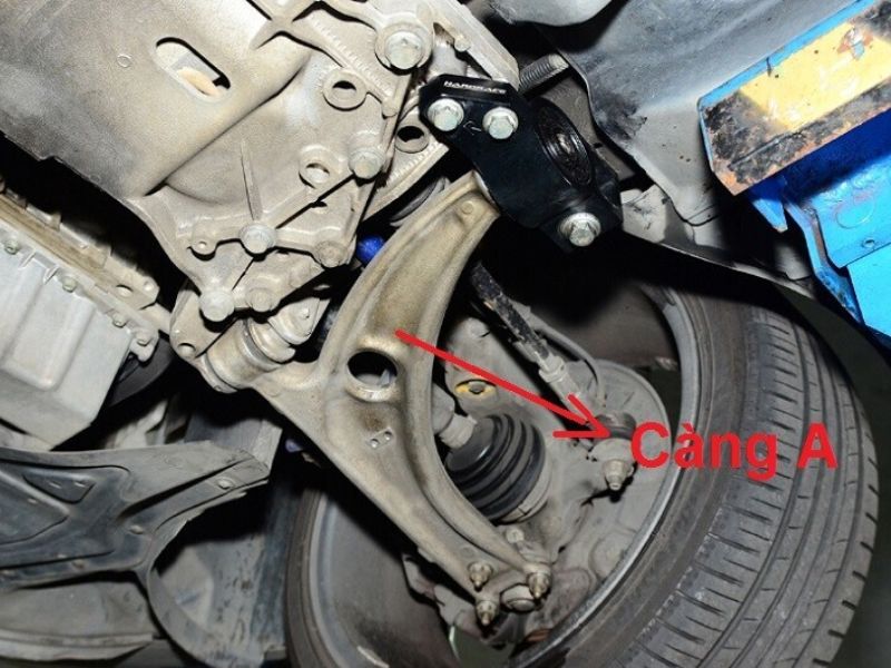 Càng A và cao su càng bị rách hoặc chai cứng