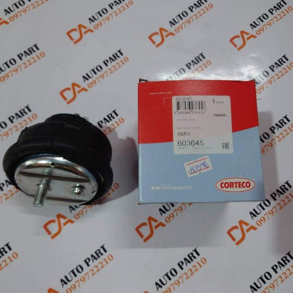 603645