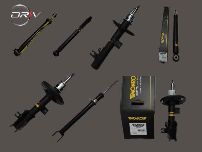 Các dòng sản phẩm nổi bật của Driv